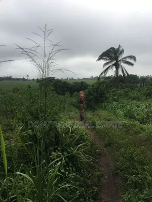 7 Acres of Farmland for Sale at Ojedeji Off Ijaye-Iseyin Exp
