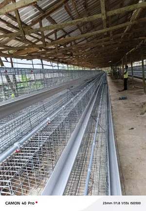 Farmers Cage for Poultry