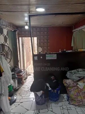 Professional Laundry in Ajah-Lekki