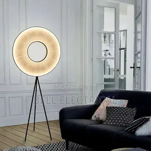 Minimalist Decorative Art Floor Lamp