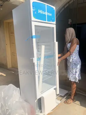 222l Beverage Chiller – Sleek Display for Any Business