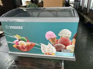 Snowsea 480l Display Showcase Freezer