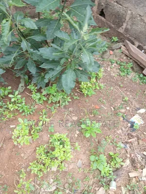 300sqm ( Half Plot) Governor's Rd By Bustop