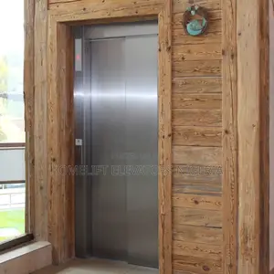 Homelift Compact Through Floor Vertical Platform Access Lift