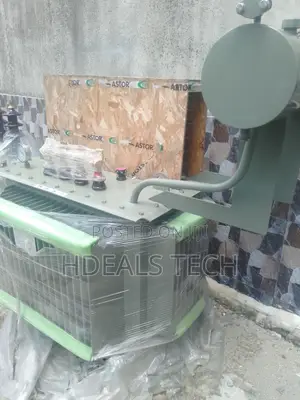Energy-Efficient Astor Transformer - 300kva 11kv