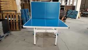 Professional Outdoor Table Tennis Board Available in PHC