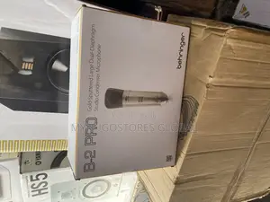 Behringer B-2 Pro Mic