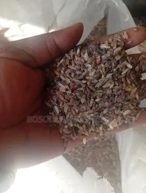Rice Dog Food