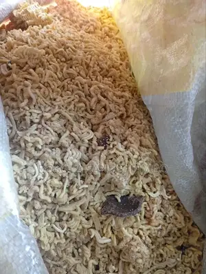 Noodles for Dogs