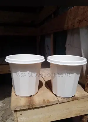 8 Inches White Flowers Pots