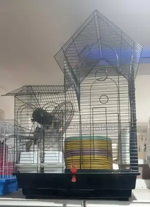 Parrot Cage