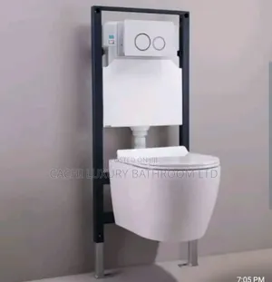 White Concealed Wc
