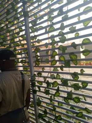 Carpet Grass, Interior Exterior