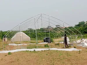 Greenhouse Construction
