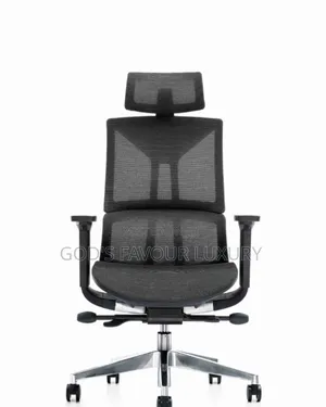 Ergonomic Mesh Office Chair