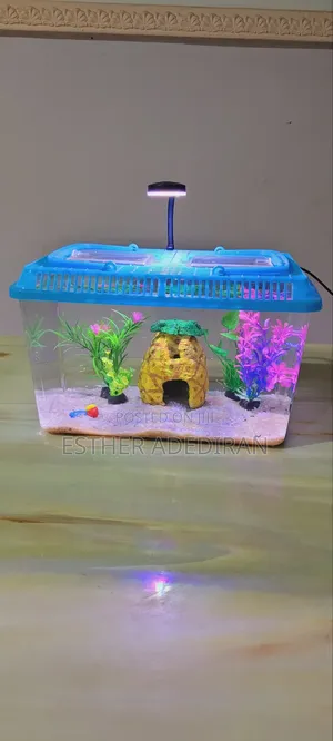 Midi Aquarium