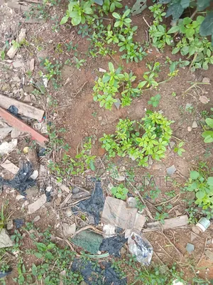 300sqm Plot Ishitu Iguando Guided Round Near Rd