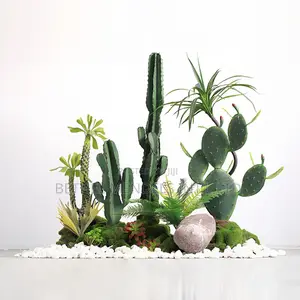 Cactus Landscaping Design With Artificial Plants & Moss
