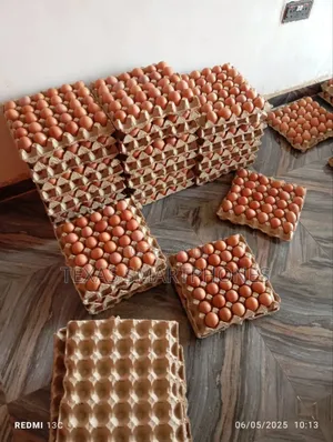 Crates of Eggs