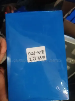 65ah 3.2v Lithium Batteries