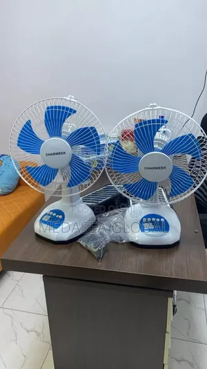 Rechargeable Fan