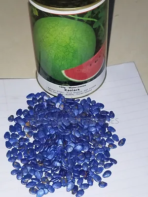 Water Melon Planting Seeds ( Retail 17gm