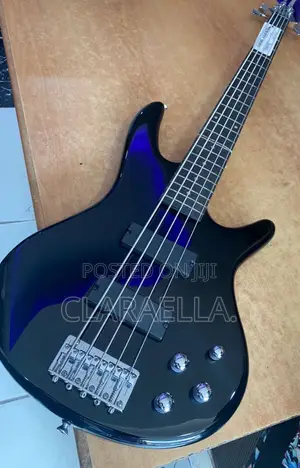 Ibanez Gsr205 5-String Bass Guitar.