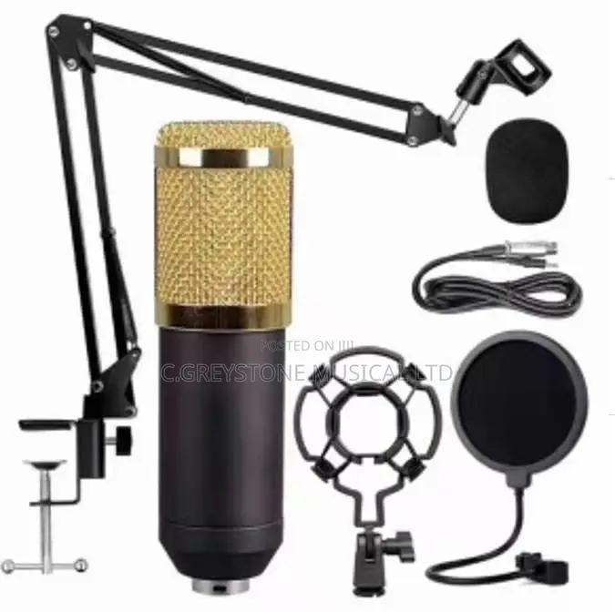 Bm800 With Stand
