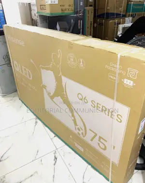Immersive Entertainment Starts With Hisense Qled 75"