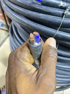 10mm 2core Cable Pvc