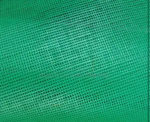 Original Scaffold Net