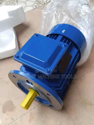 Electric Motor