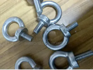 M10 X 25mm Eye Bolt Ss304