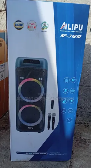 Rechargeable Wireless Pa System With 2 Microphones