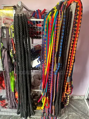 Dog Quality Leash
