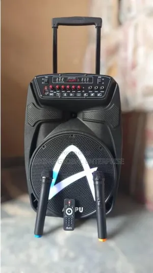 Best Portable Ailipu Rechargeable Public Address System