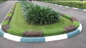 Plants Installation
