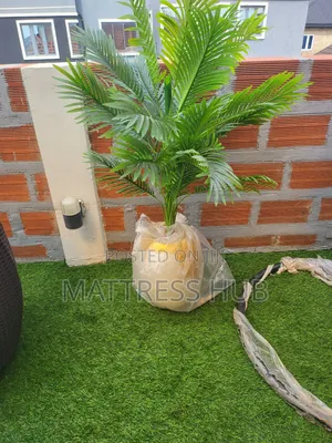 Luxury Palm Medium Flower and Map Design Wave Flower Pot
