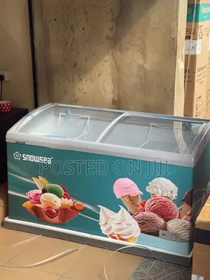Ice Cream Display Chiller 480liters
