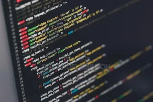 Become a Programmer in Just 12 Weeks