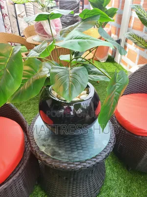 Flower Vase With Flower Plant