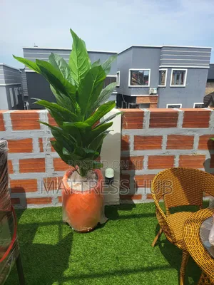 Shanfa Flower Vase Pot and Beautiful Plant Flower