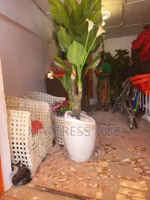 Stylish Shanfa Flower Vase Pot and Lively Flower Plant