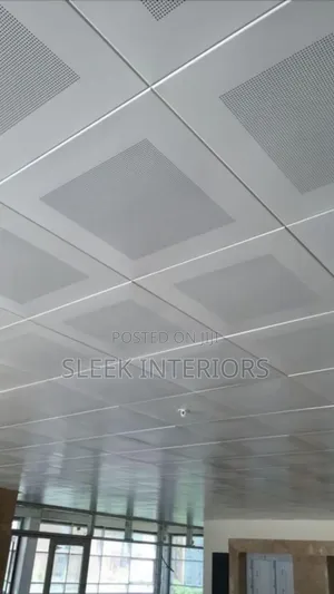 Metal Ceiling 
Conseal/Expose
