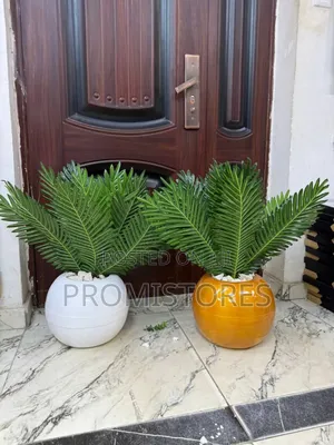 Fibre Pot Plant (Stone Inclusive)