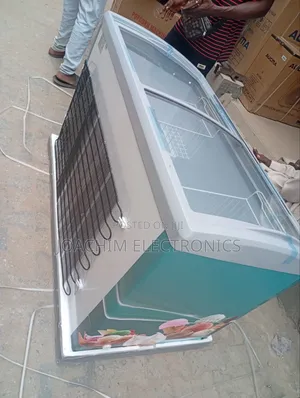 Snowsea Ice Cream Freezer 480/265v