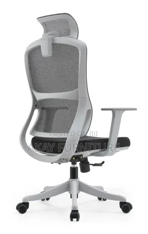 Mesh Ergonomic Chair