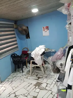 Professional Laundry Service Just for You