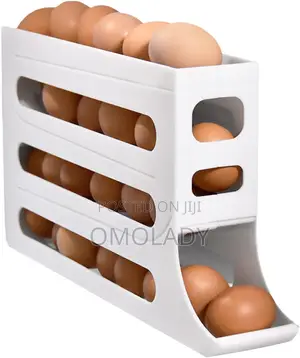 Egg Storage Organizer