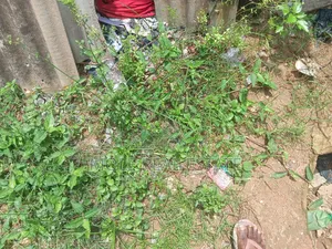 300sqm (Half Plot ) Governor's Rd Ikotun Close to Bustop